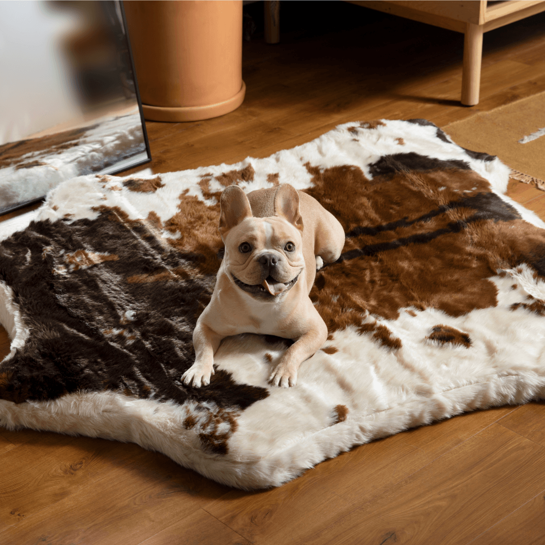 PupRug Animal Print Memory Foam Dog Bed Brown Faux Cowhide