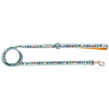 Snowy Slopes Leash