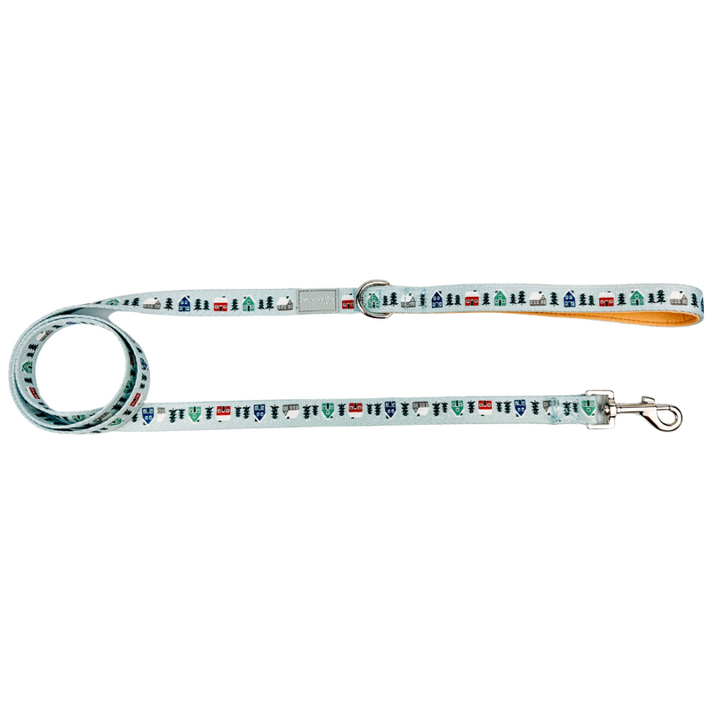 Snowy Slopes Leash