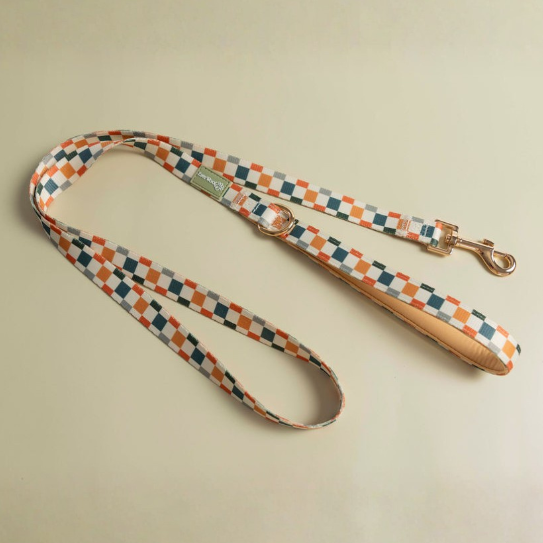 Sage & Cider Leash