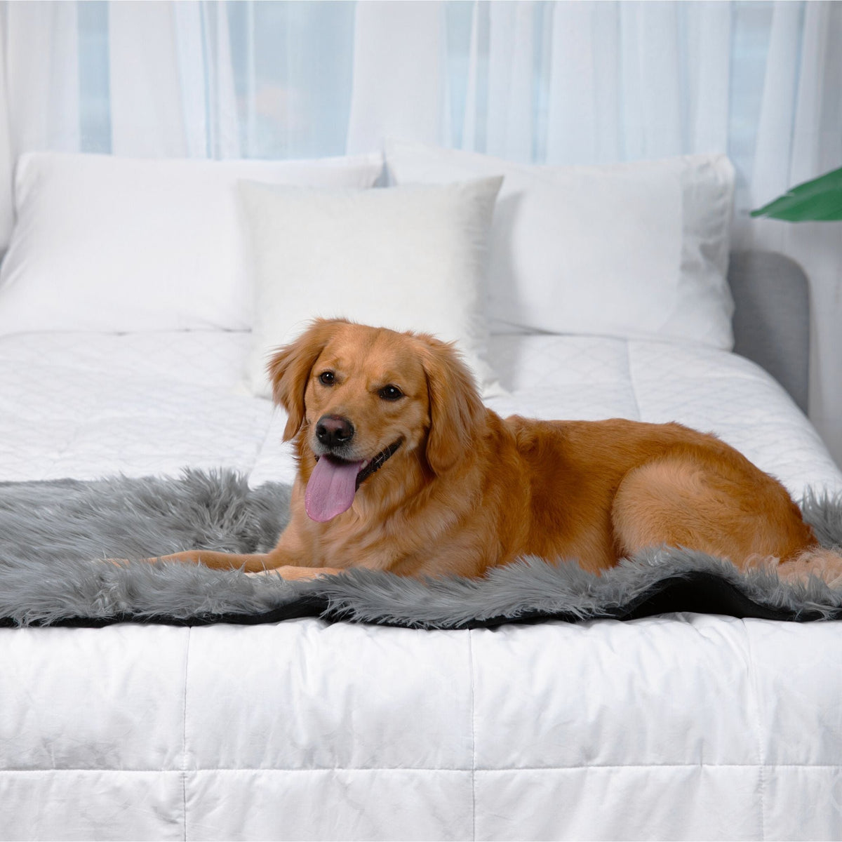 PupProtector Waterproof Bed Runner Charcoal Grey