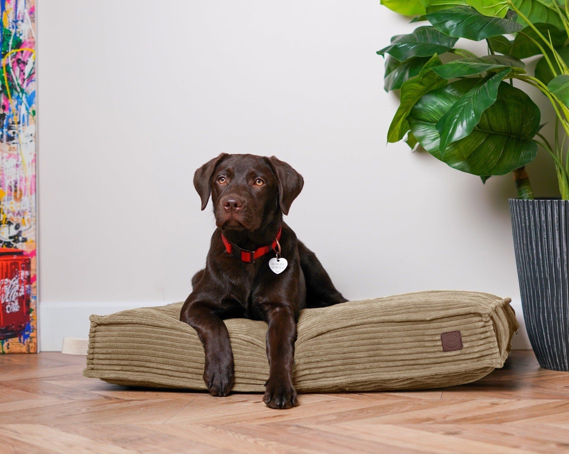 Memory Foam Dog Bed