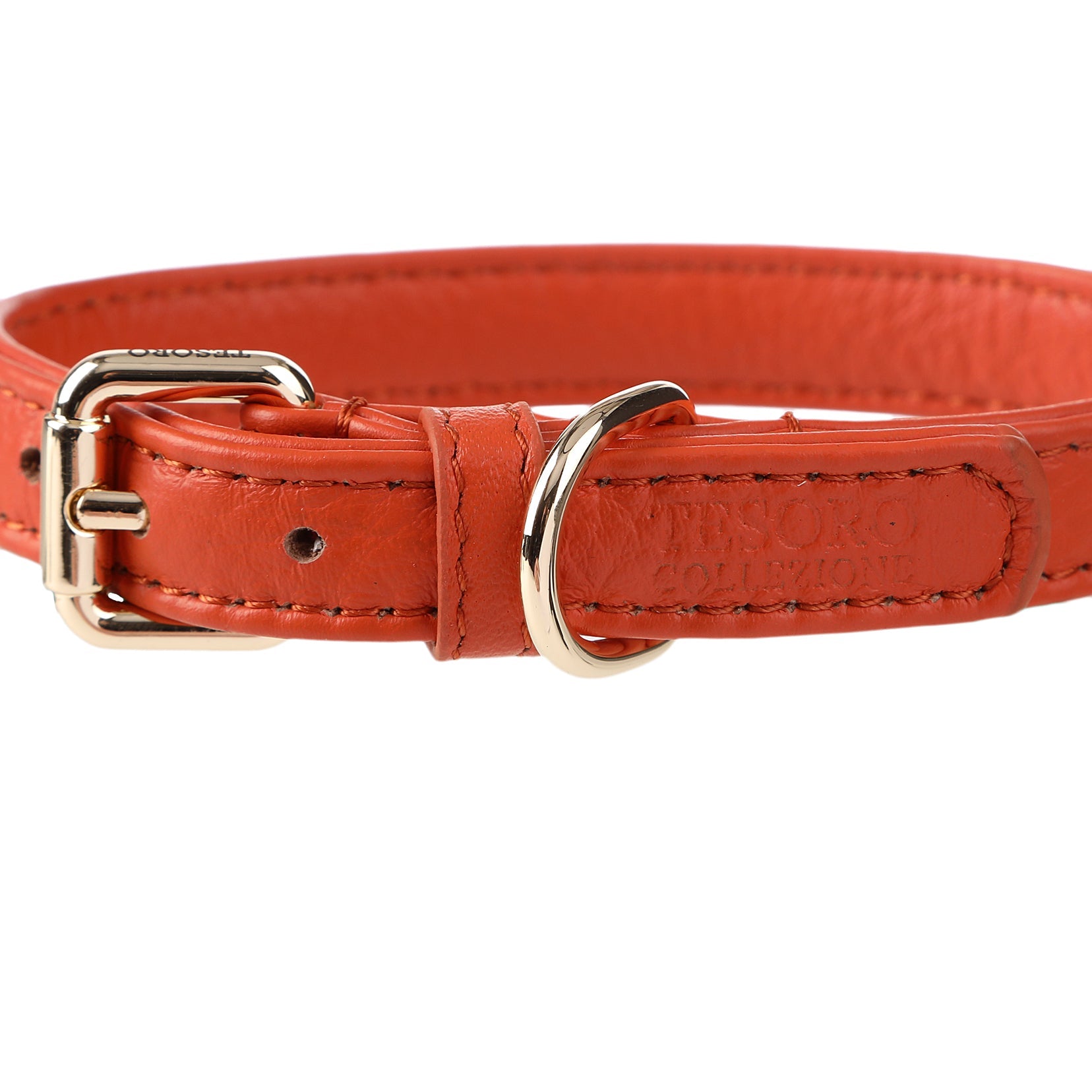 Dog Collar