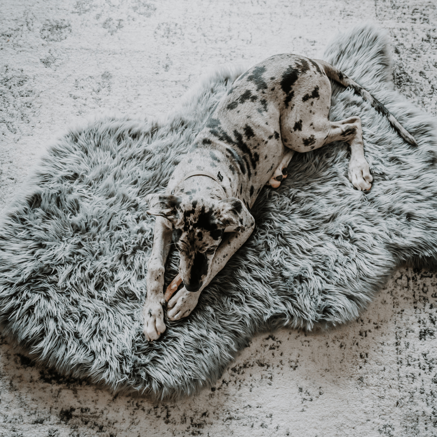 Puprug Faux Fur Orthopedic Dog Bed Curve Charcoal Grey