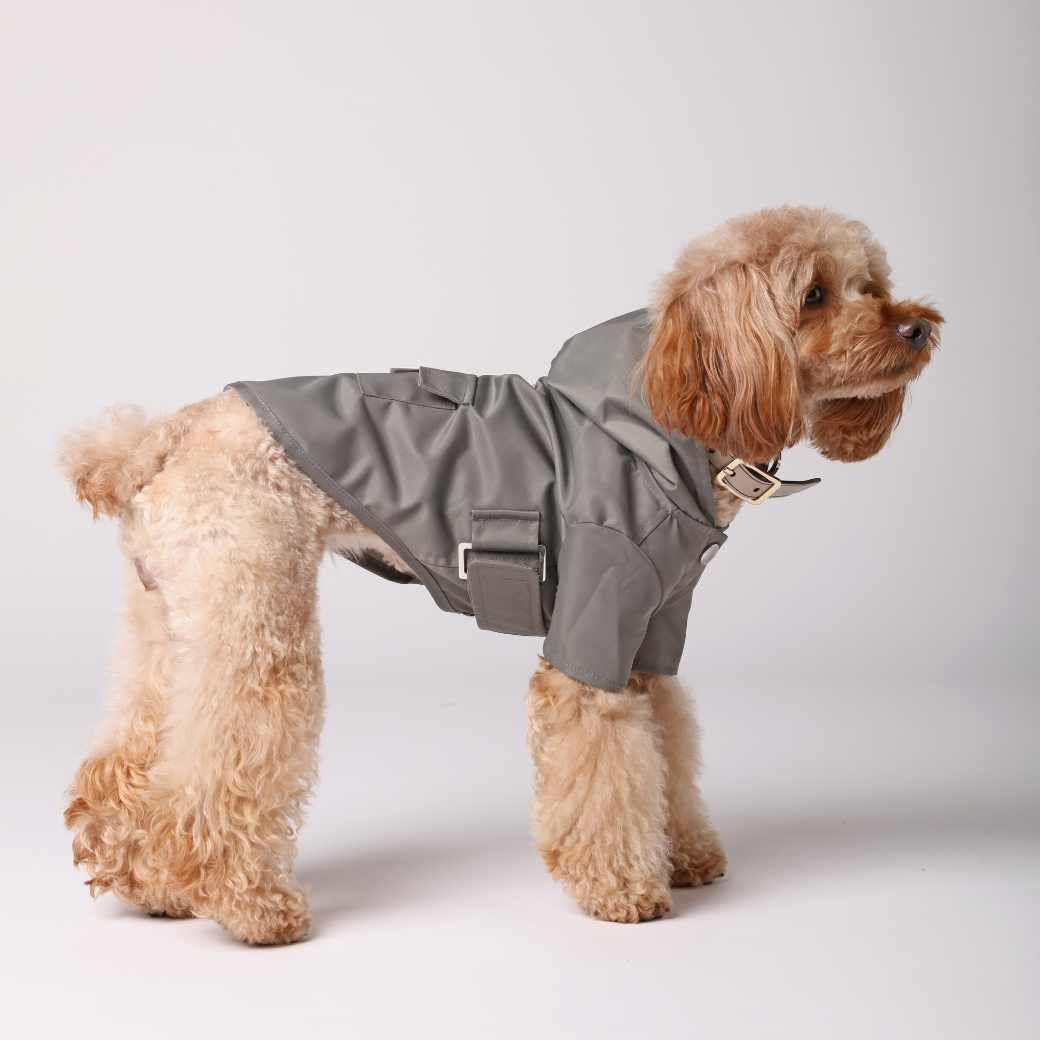 Bowery Raincoat-Gray