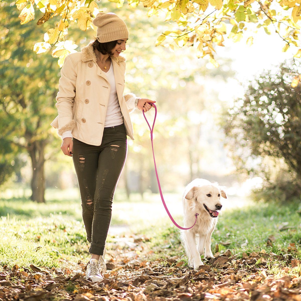 Viper BioThane Long Line 20 ft Dog Lead with Brass Hardware