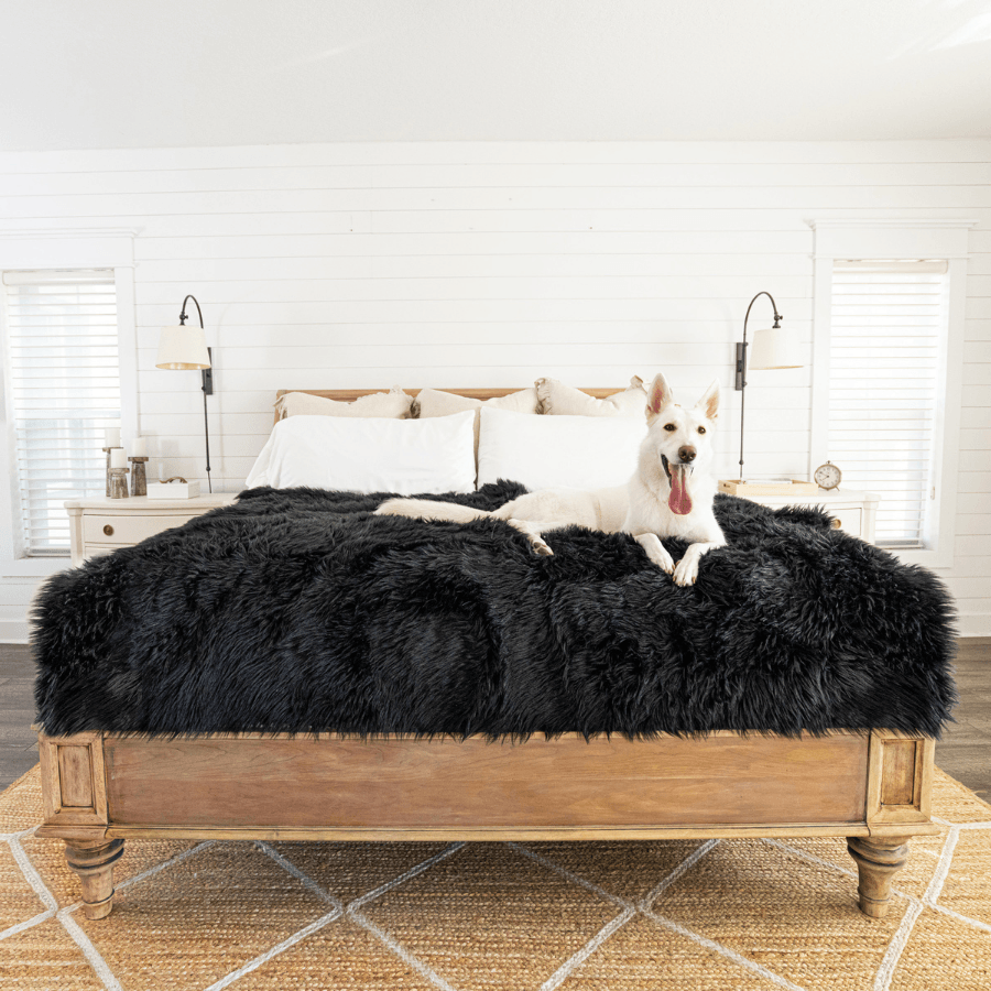 PupProtector™ Waterproof Throw Blanket - Midnight Black | HT Animal Supply