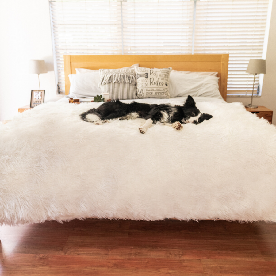 PupProtector Waterproof Throw Blanket Polar White