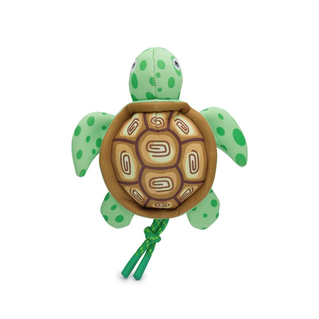 Floatie Turtle 