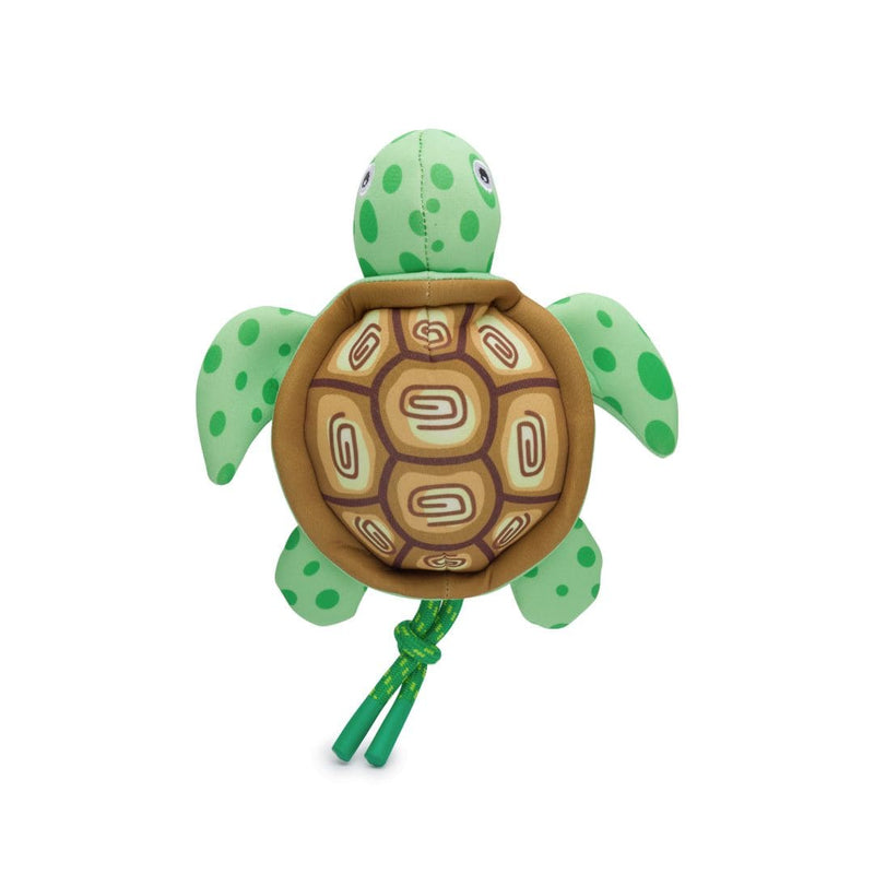 Floatie Turtle 