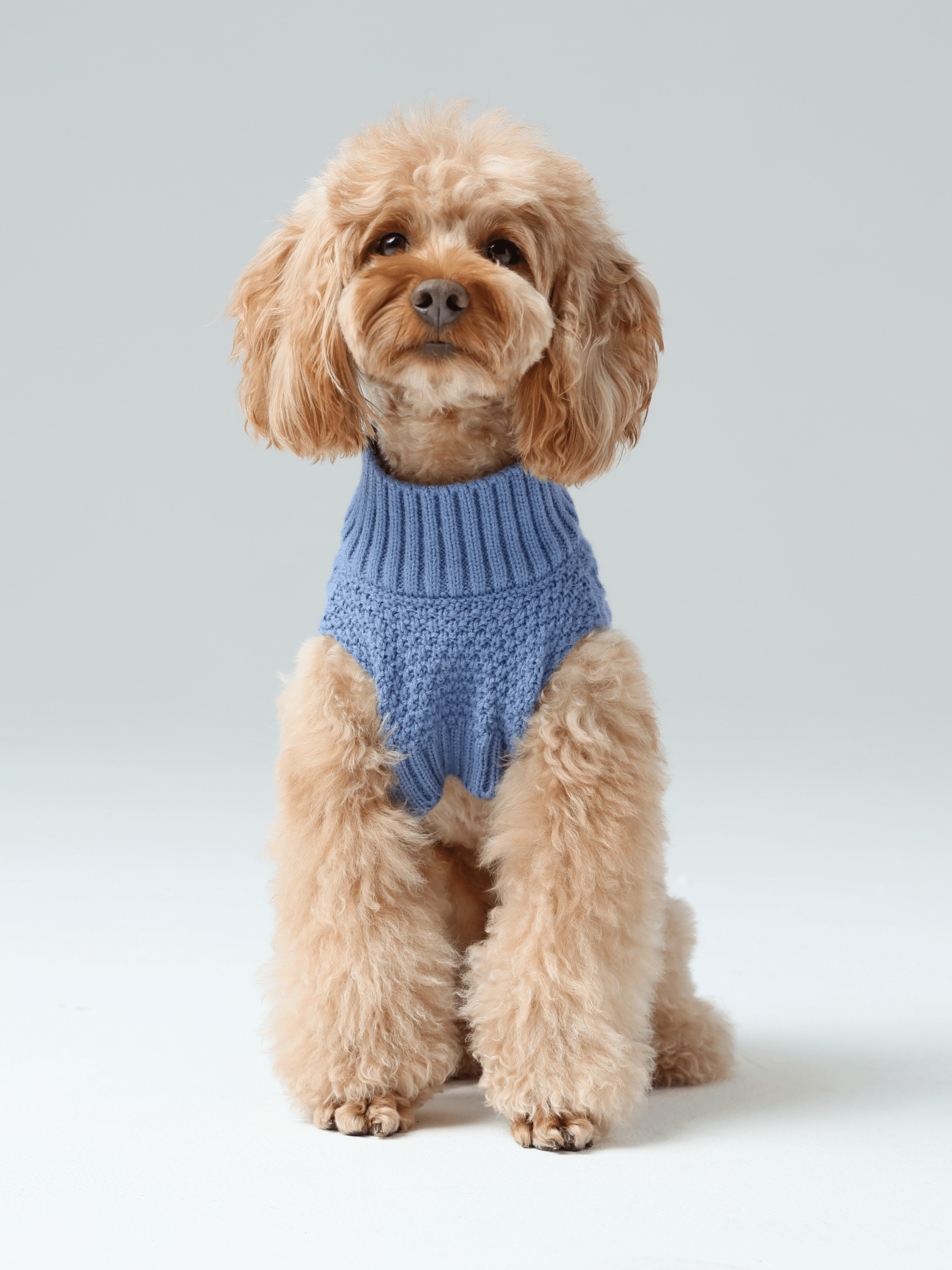 Pet Sweater Vest-Ice Blue