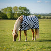 Smokin Spades 200g Medium Weight 1200 Denier Turnout Blanket