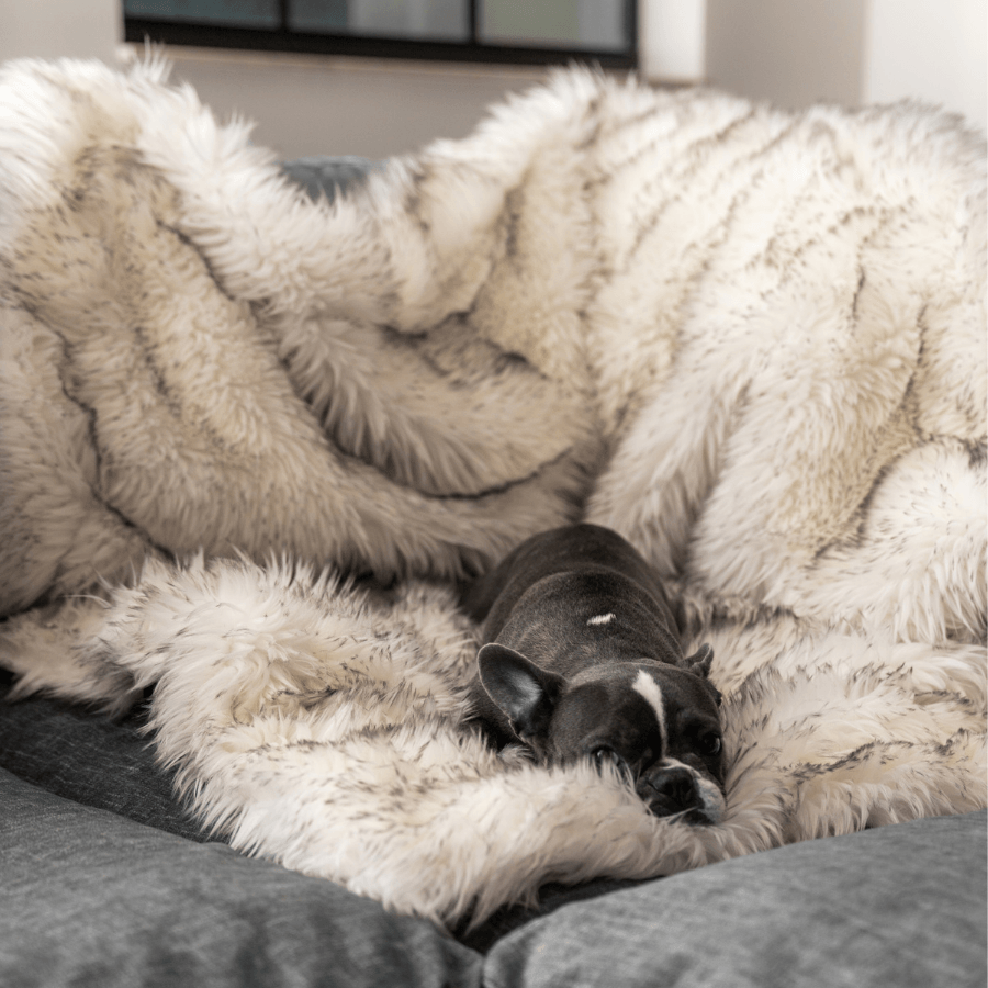 PupProtector Waterproof Throw Blanket White with Brown Accents 