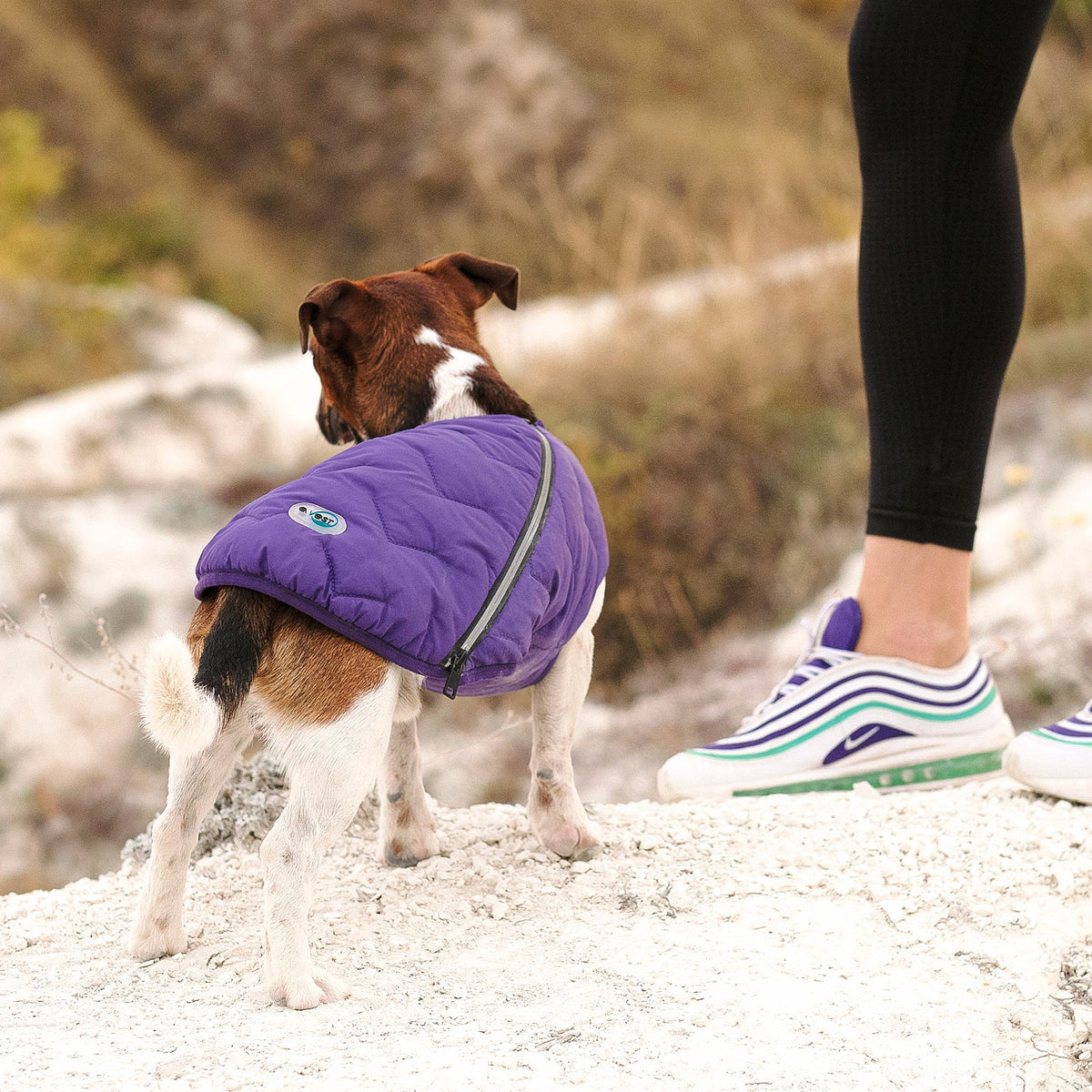 Bonne et Filou – Recycled Waterproof Dog Jacket & Vest