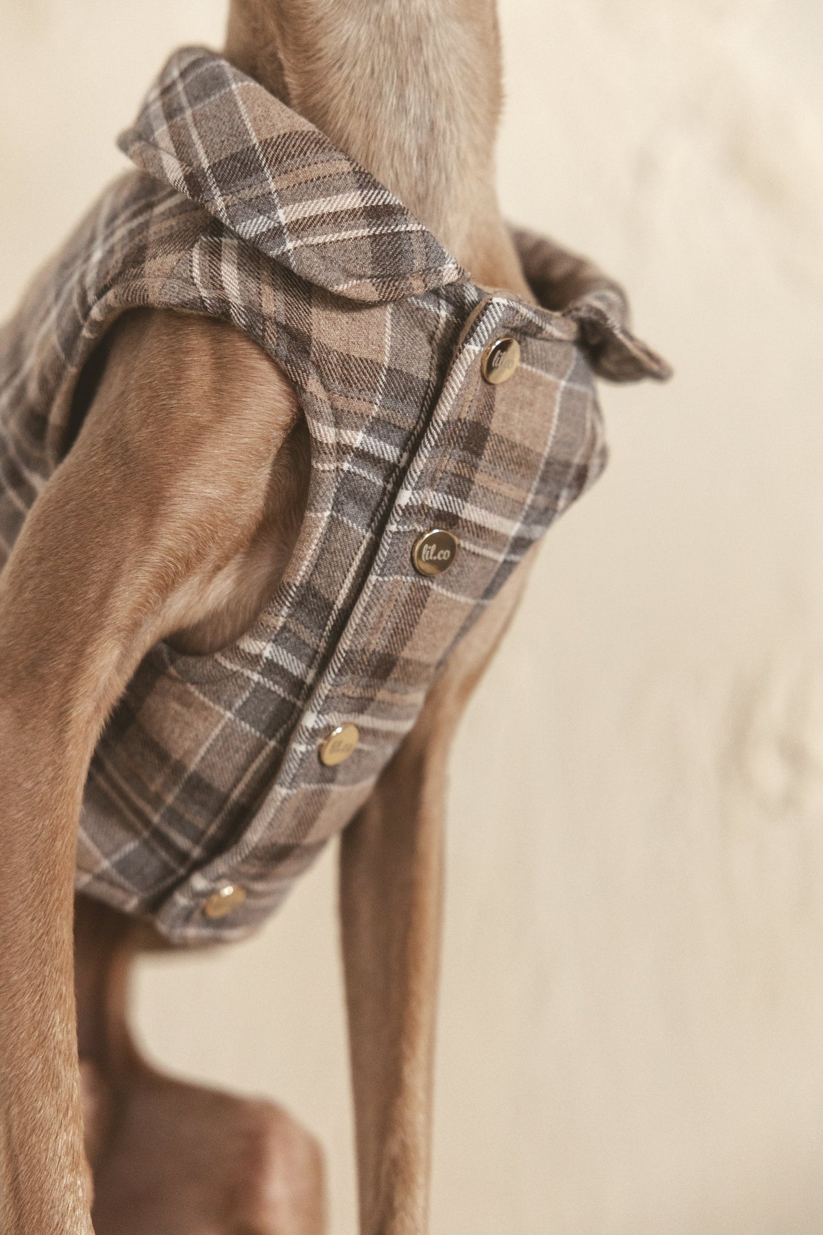 Roux Vest