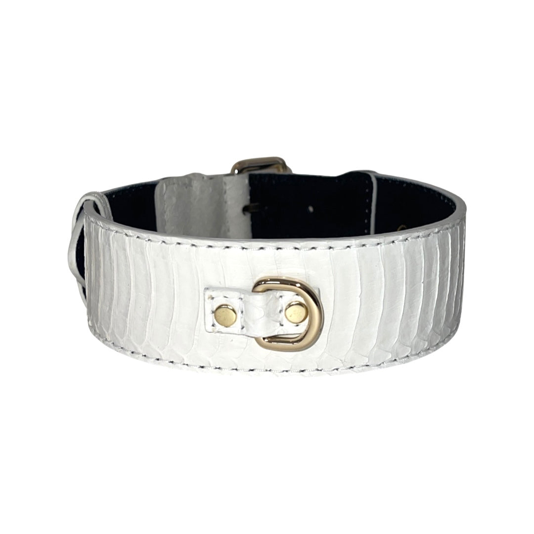 Allysa Payne Matte white Snake With Gold Classic Hardware
