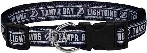 Tampa Bay Lightning Collar