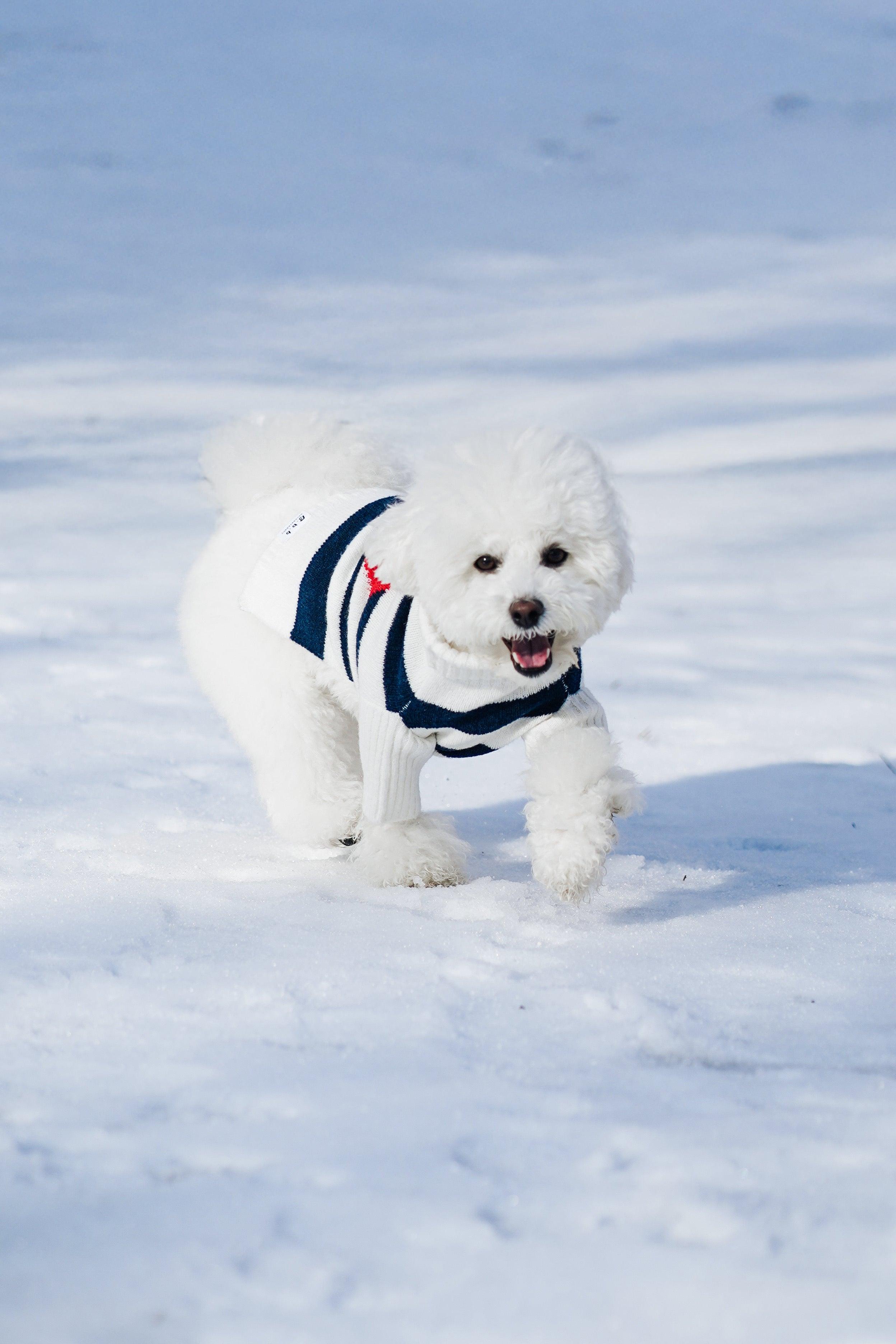 Sailor of My Heart Striped Turtleneck Sweater - HT Animal Supply