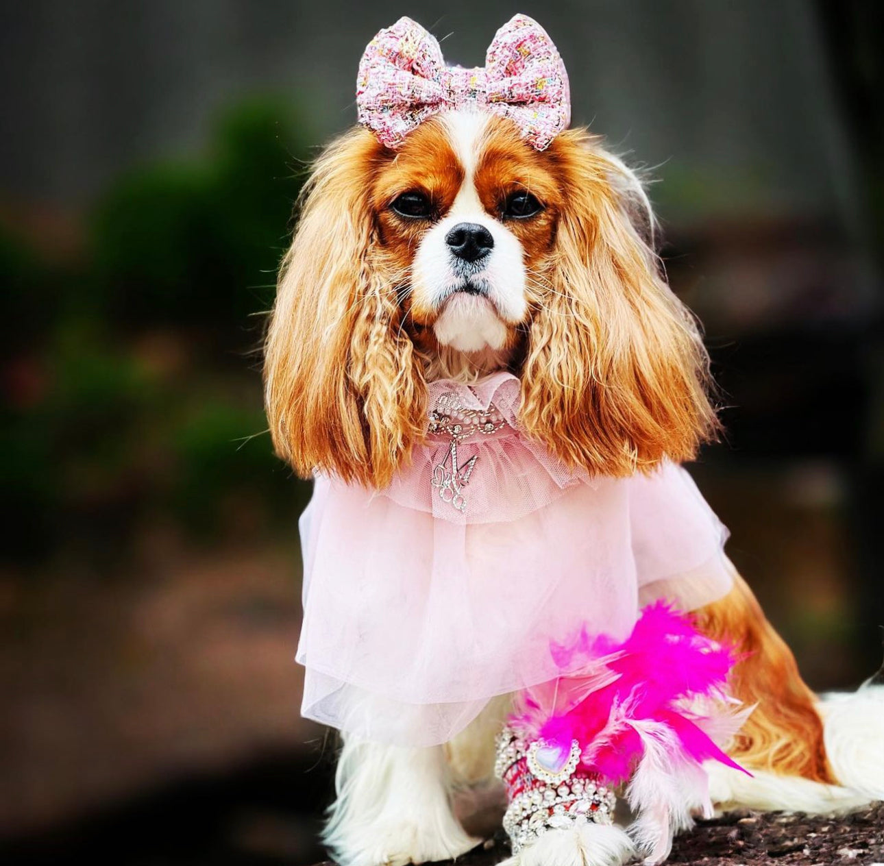 Whimsical Wedding: J’Adore