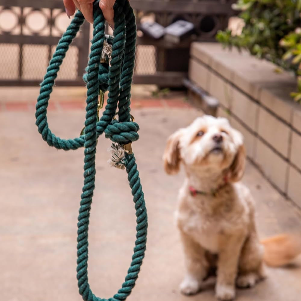 Glow Pups: Dark Green Boho Chic Cotton Rope Dog Leash