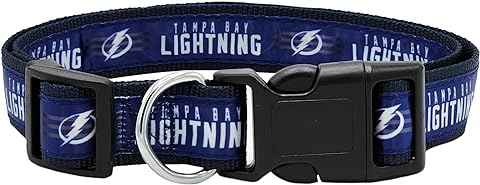 Tampa Bay Lightning Collar