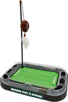 Michigan State Football Cat Scratcher Toy