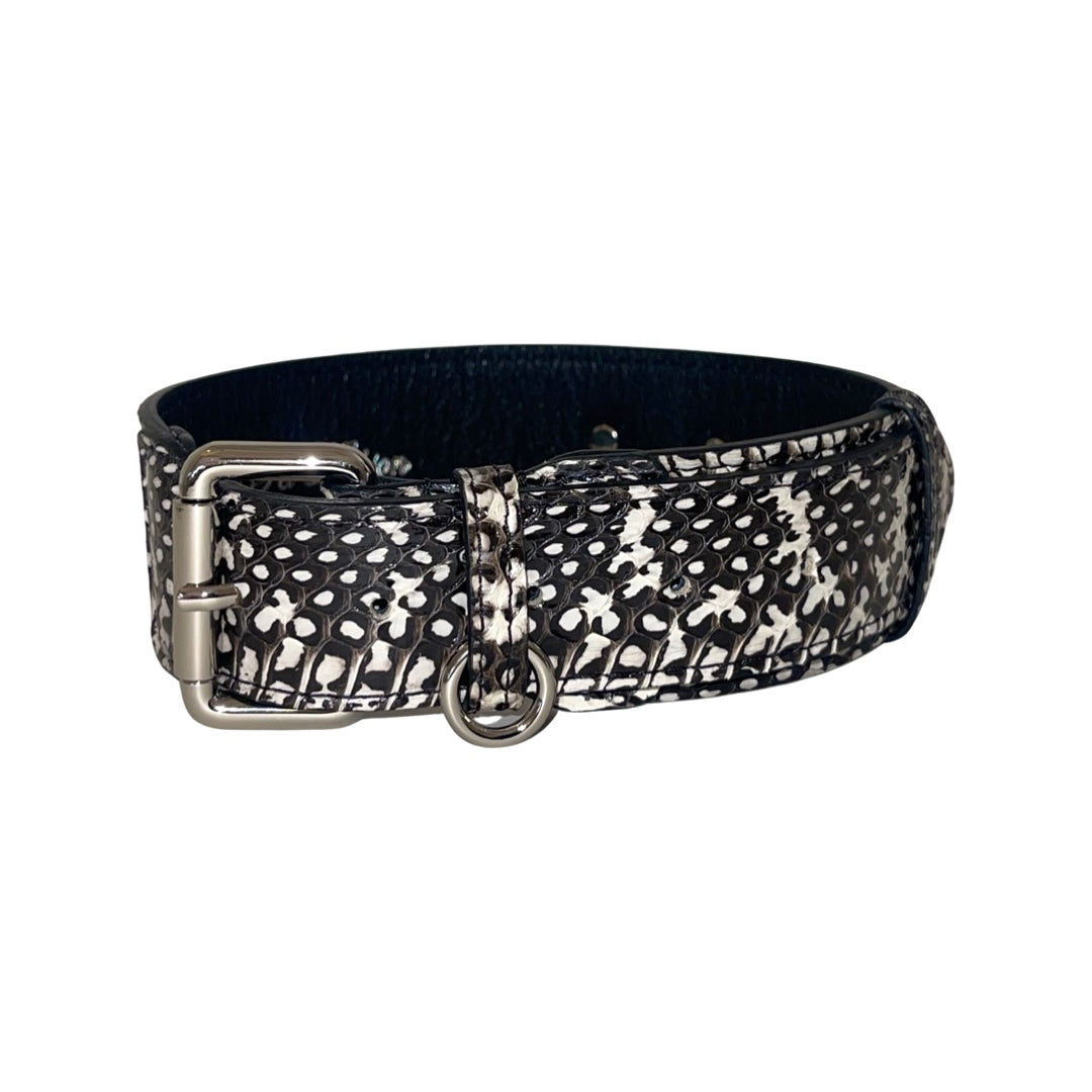 Allysa Payne Black & White Classic Snake Dog Collar