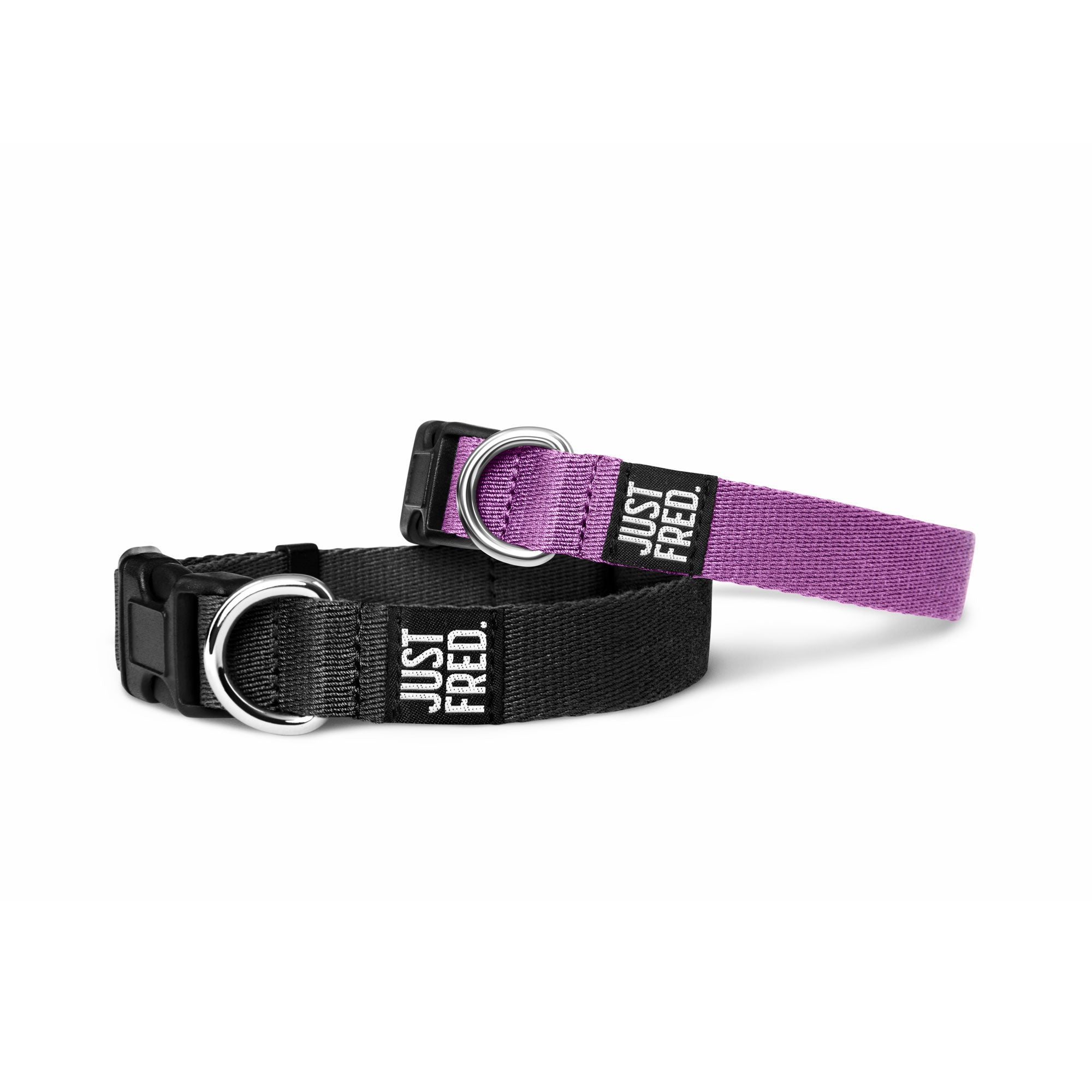 Dog Collar