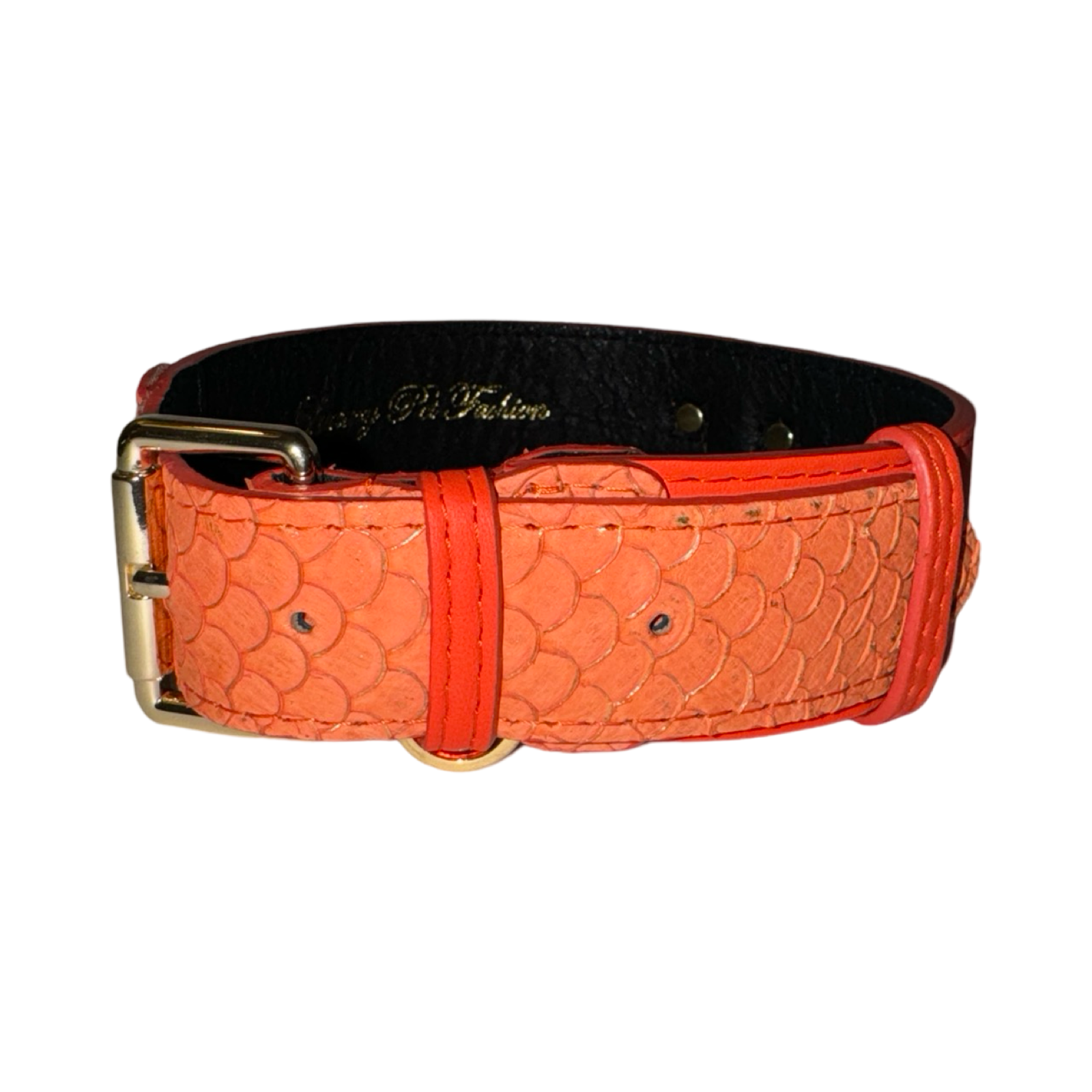 Allysa Payne The Perfect Orange Classic Dog Collar