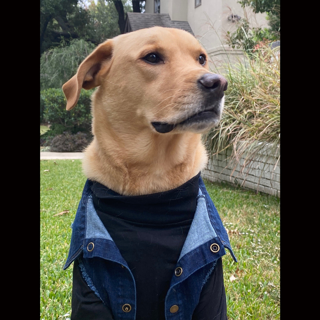 Custom James Dean - Denim Jacket