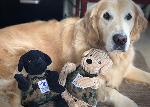 HuggleCauseTM, Warrior Canine Connection, Black Lab Luke Knottie Plush Dog Toy, Large