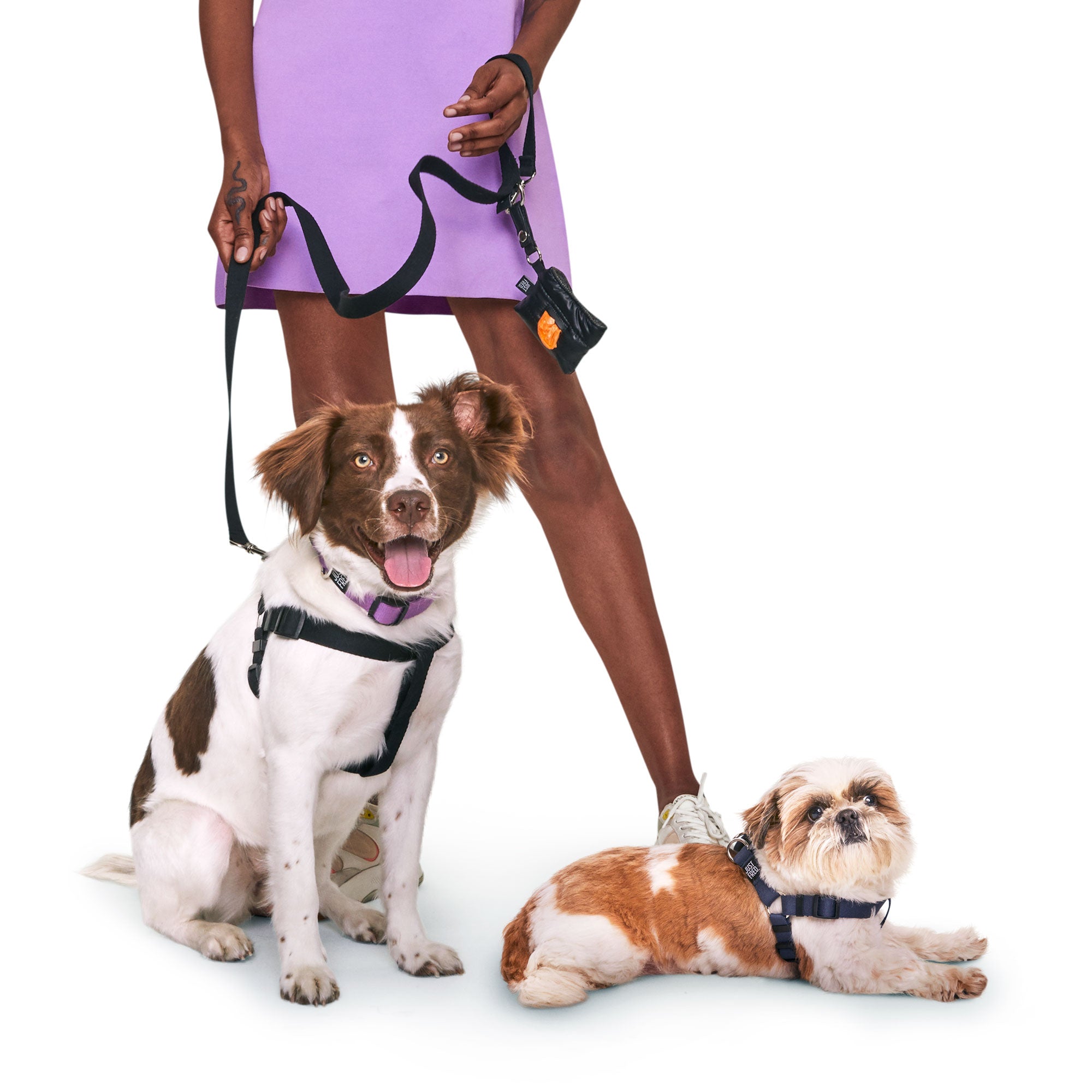 #2 Dog Harness Kit