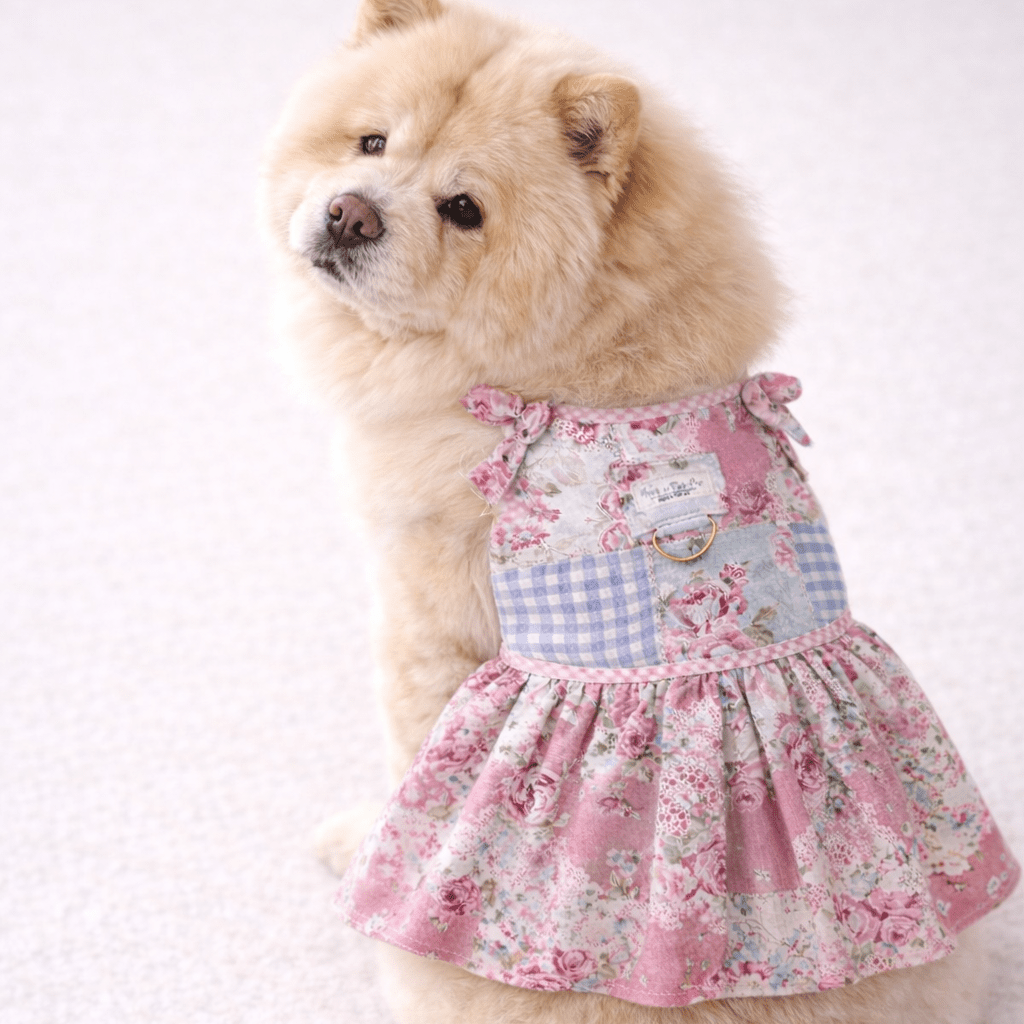 Heads or Tails Pup Rosie Keepsake Dog Dress