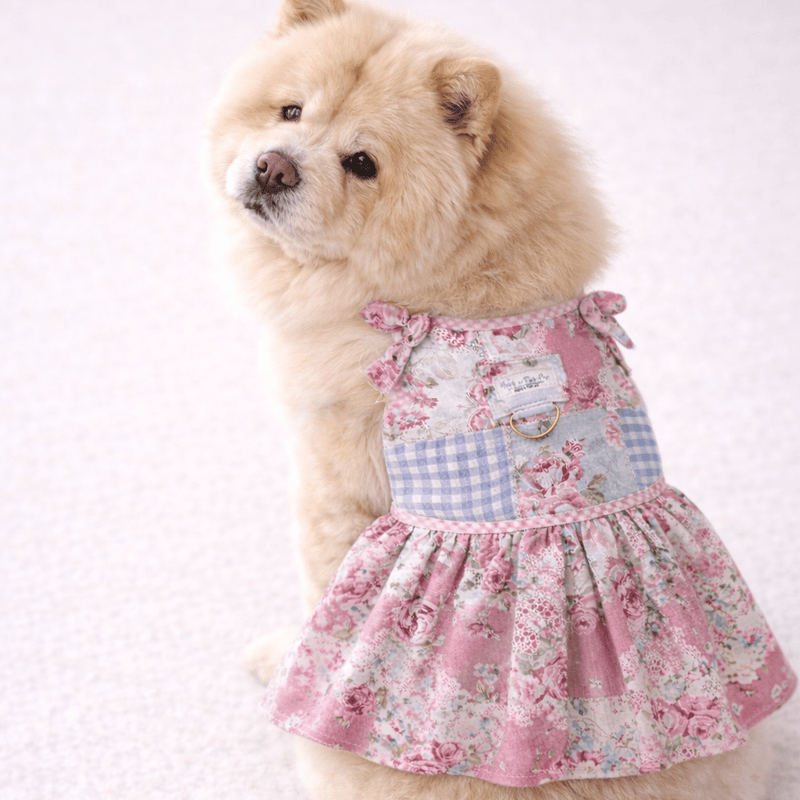 Heads or Tails Pup Rosie Keepsake Dog Dress