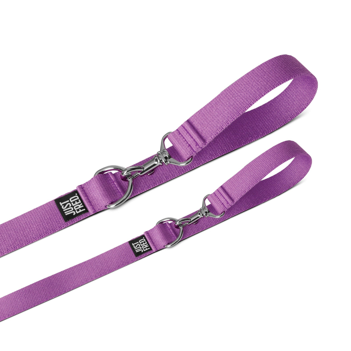 Dog Collar Kit