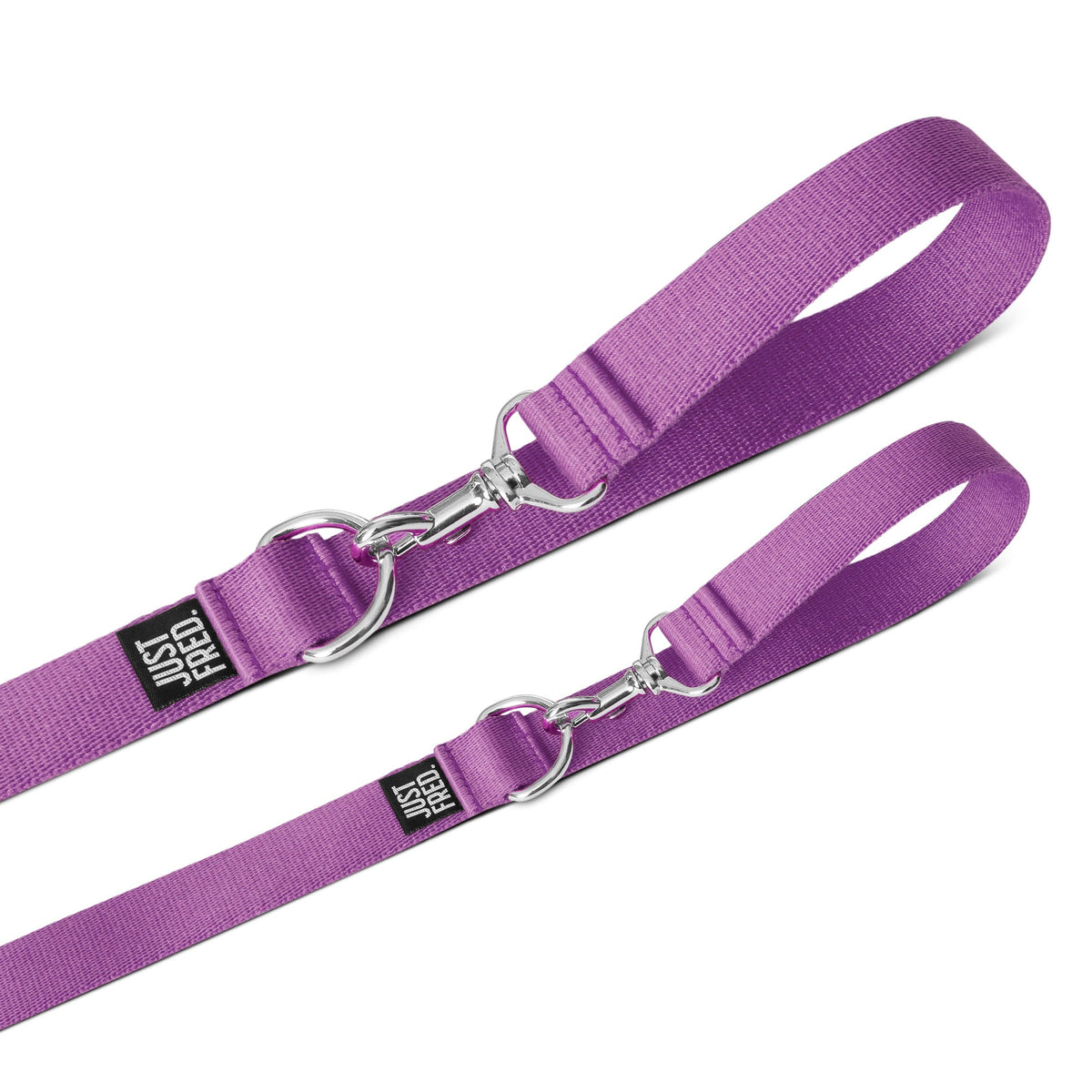Dog Leash