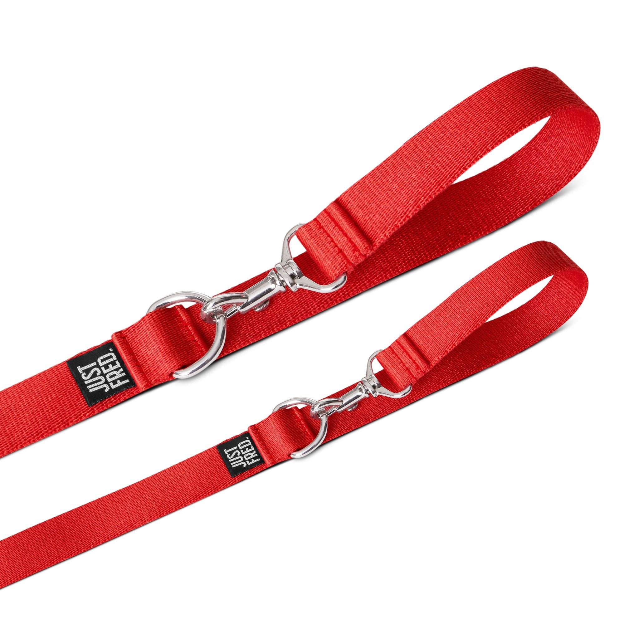 Dog Leash