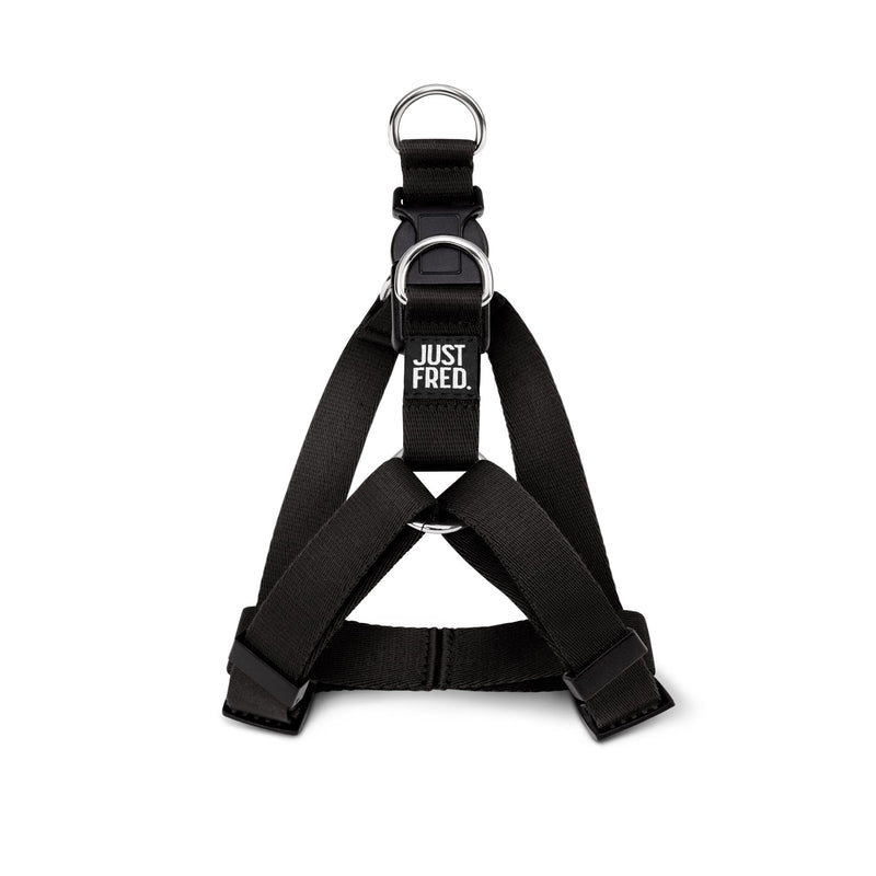 Step In Harness