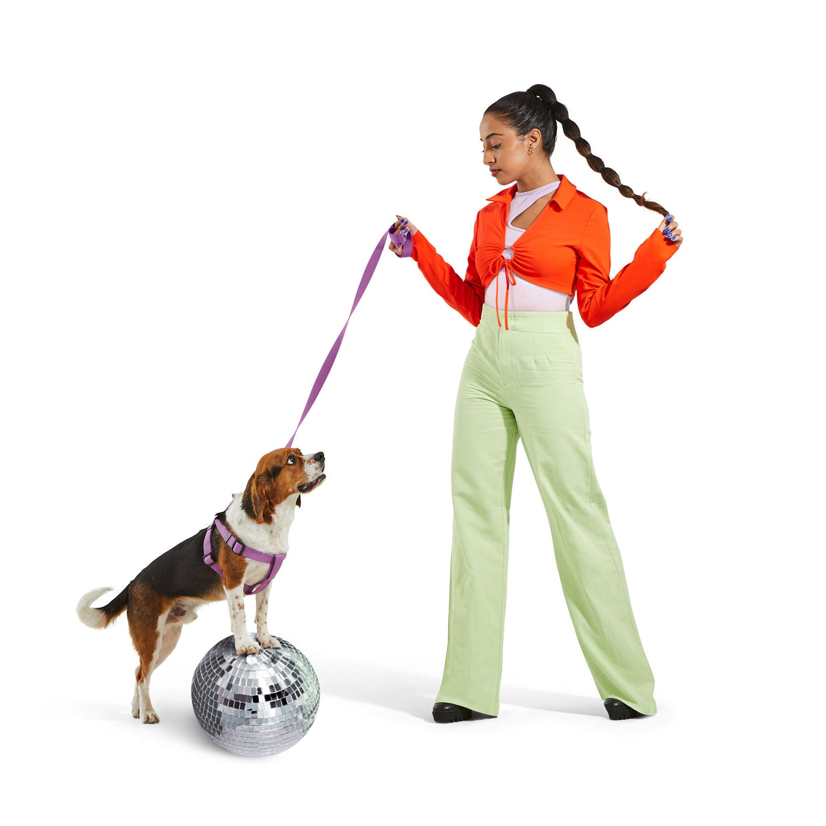 Dog Harness Kit
