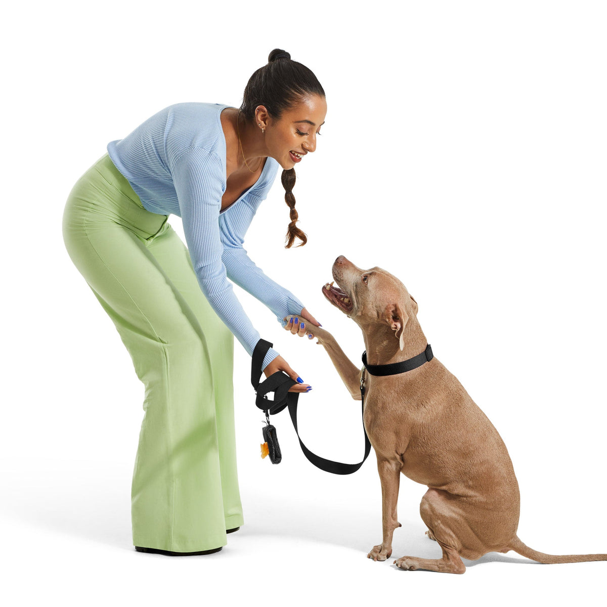 #2 Dog Collar Kit