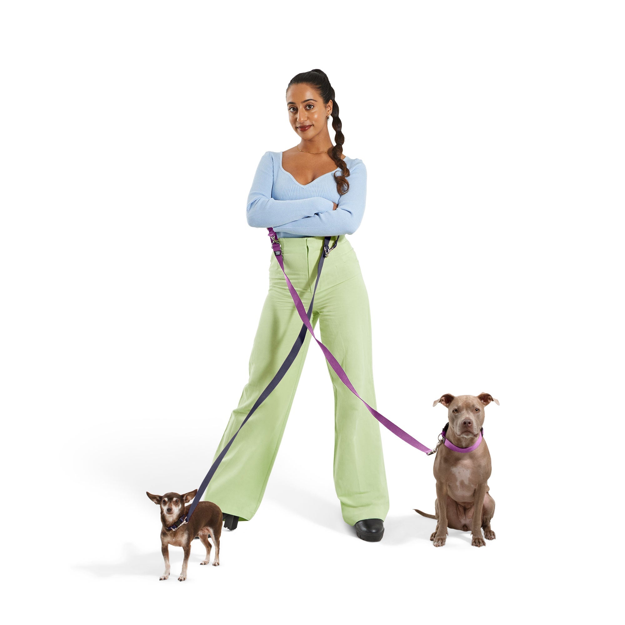 Dog Leash