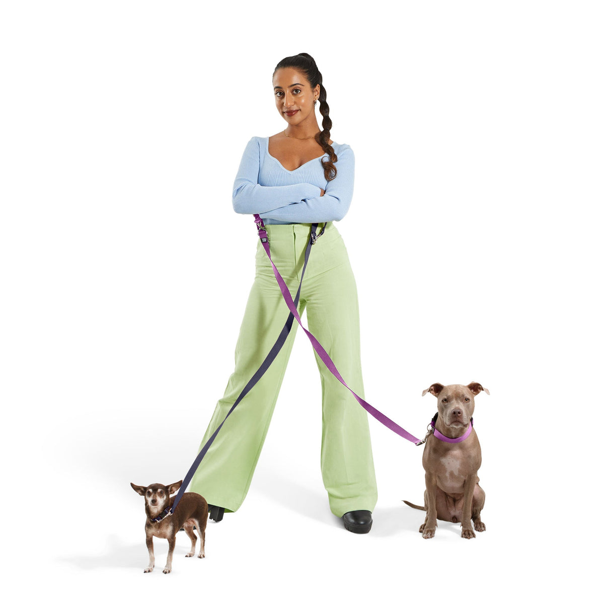 Dog Collar Kit