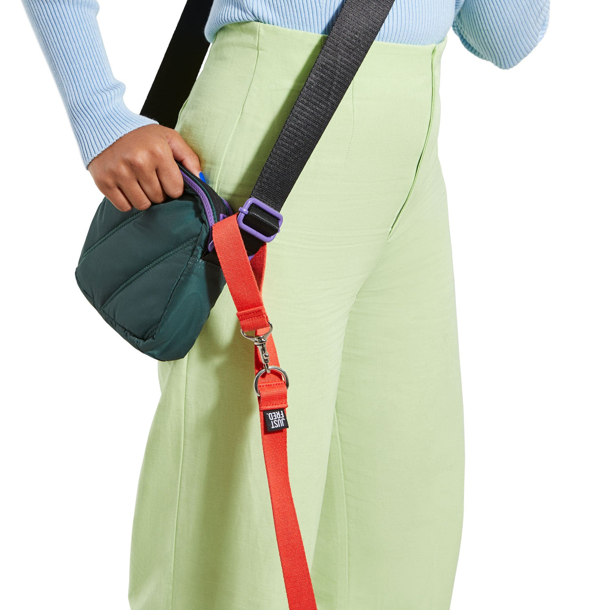 Dog Leash