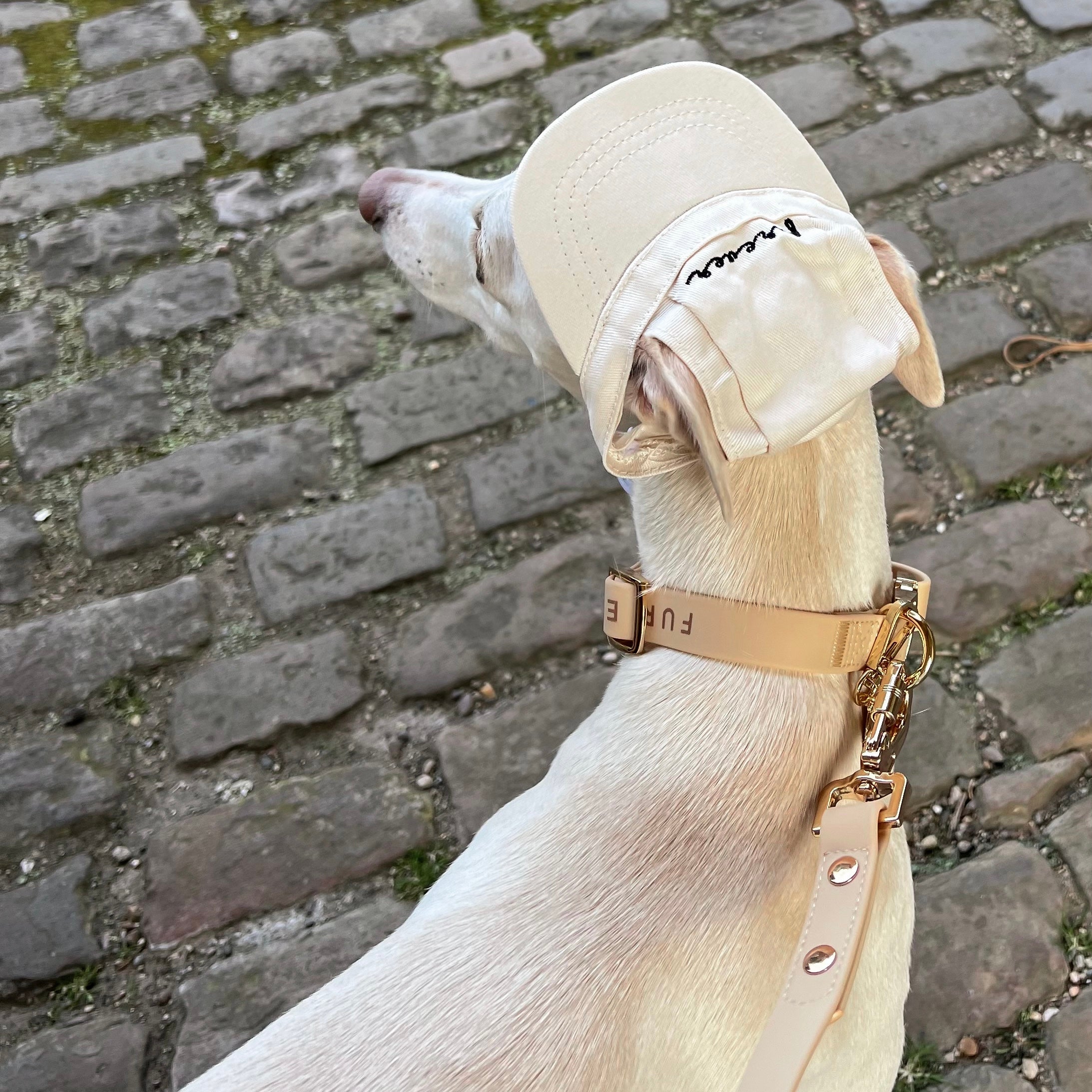 Elise Collar & Leash Set - Sand