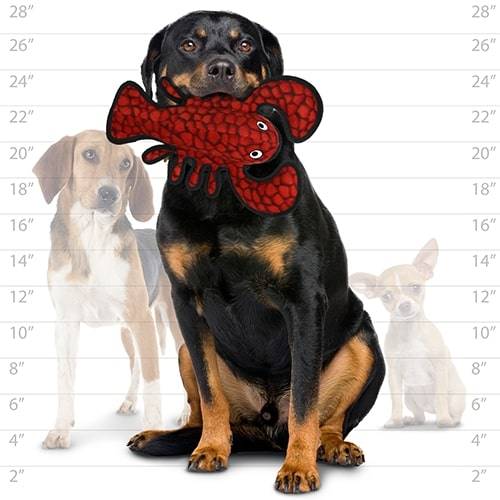 tuffy® Ocean Creature Series  - Larry Lobster