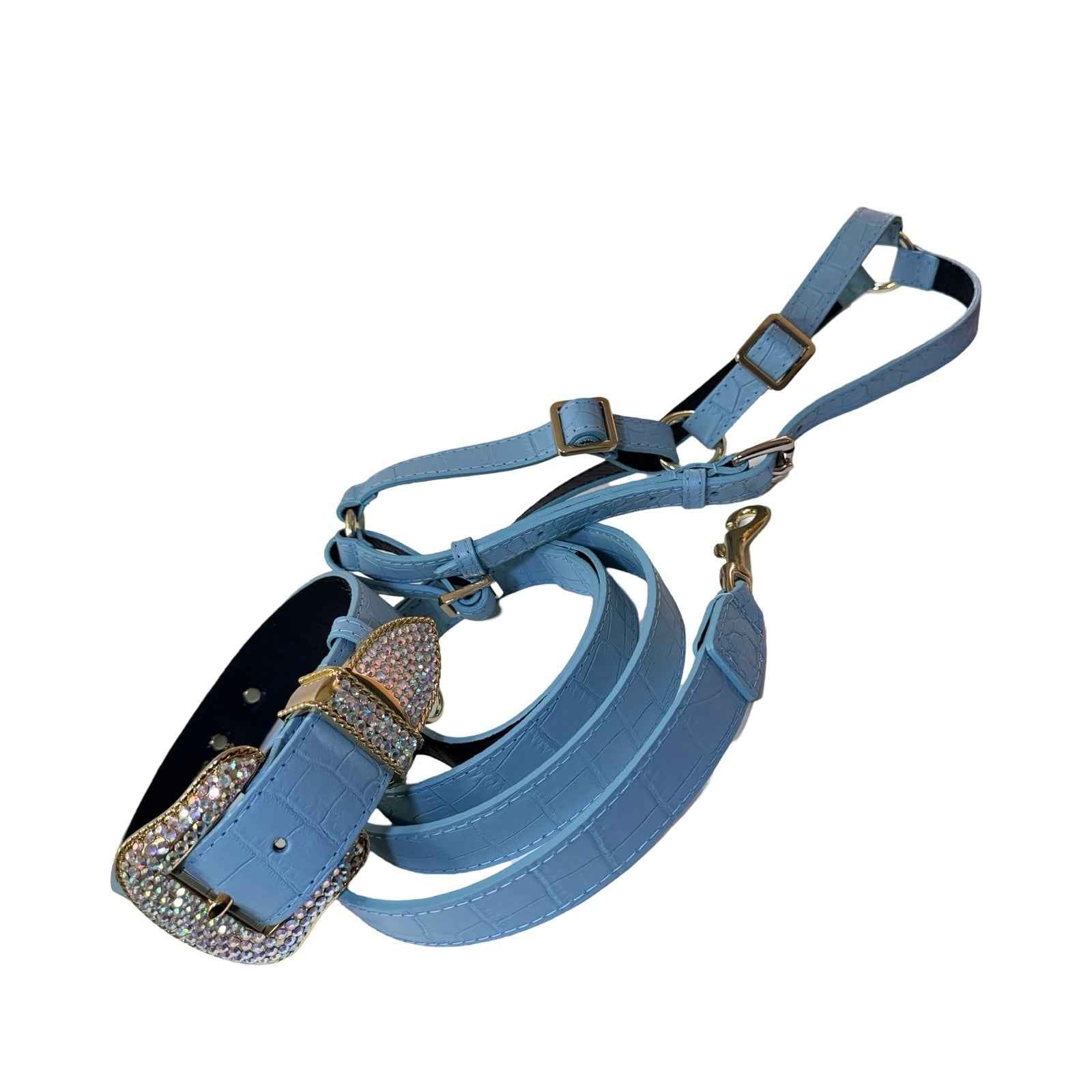 Allysa Payne La Jolla Dog Collar, Leash & Harness Set