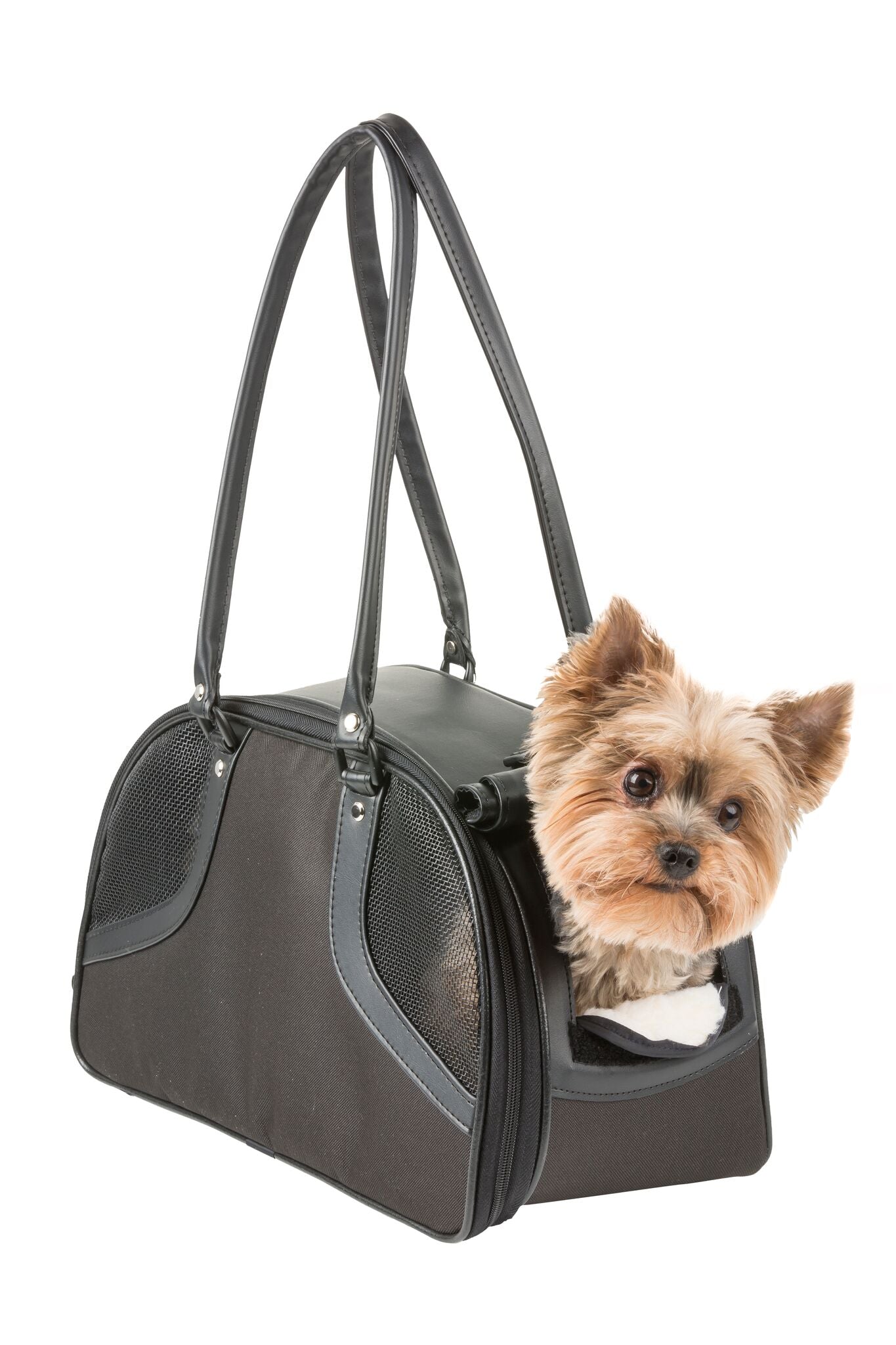 Roxy Black Pet Carrier