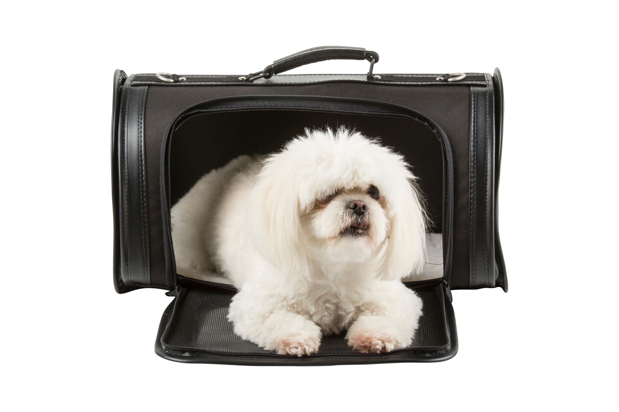 Kelle Black Pet Carrier