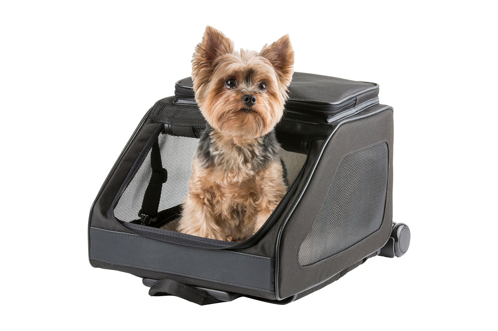 Rio CLassic - Black Rolling Carrier 3 in 1 carrier! Airline Approved Carrier, Back Pack, and Car Seat!!