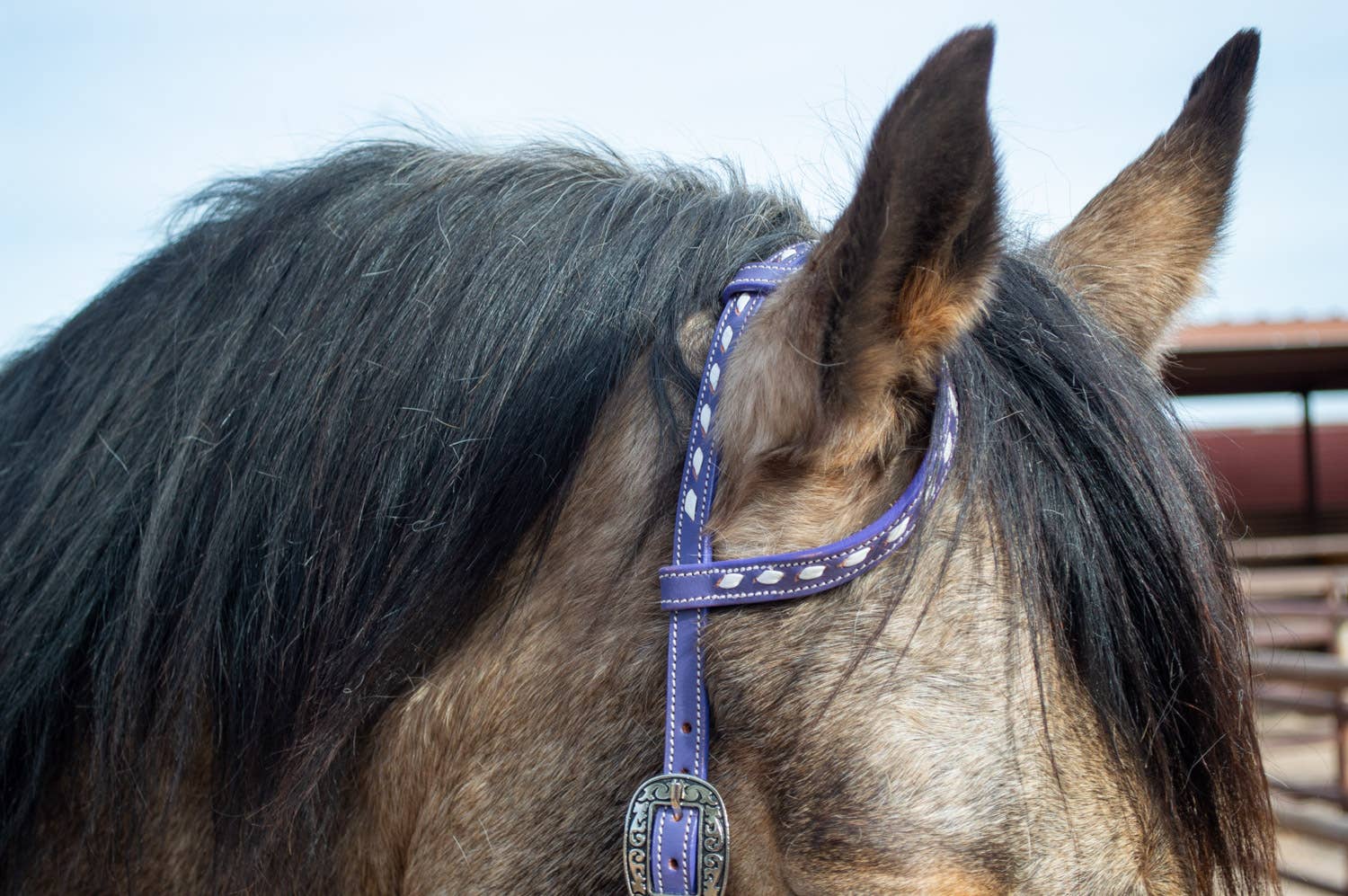 Buckstitchin Beauty Purple Tack Set